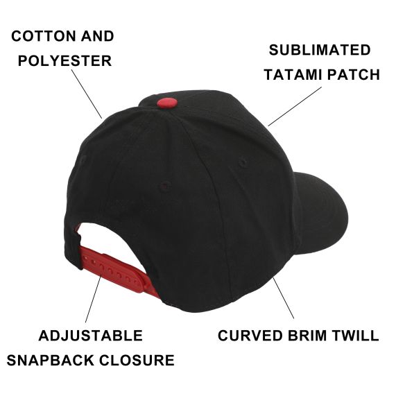 Youth - POKEMON Pokeball Youth Snapback Hat 0SPOK