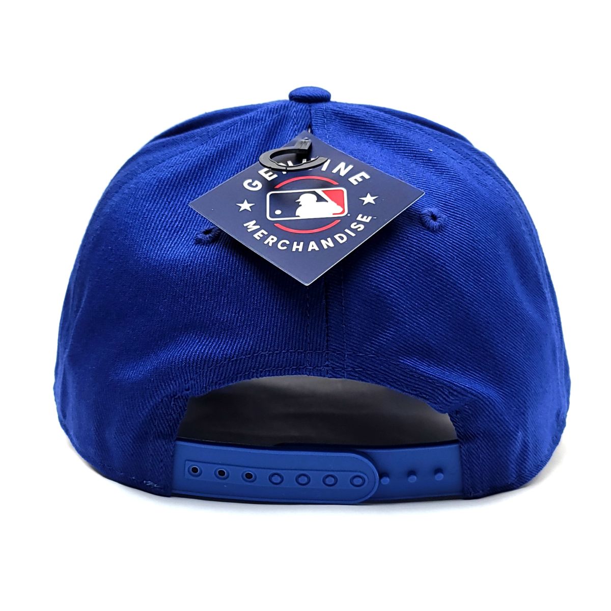 LA Dodgers Cap - FRRL, Frost, Snapback, Royal