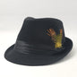 Fedora Hat - Wool Blended with Feather, Multi-Coloured, S/M & L/XL