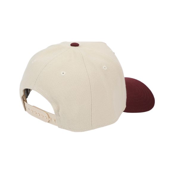 Harry Potter - Hogwarts Logo Snapback Hat, AYHPT