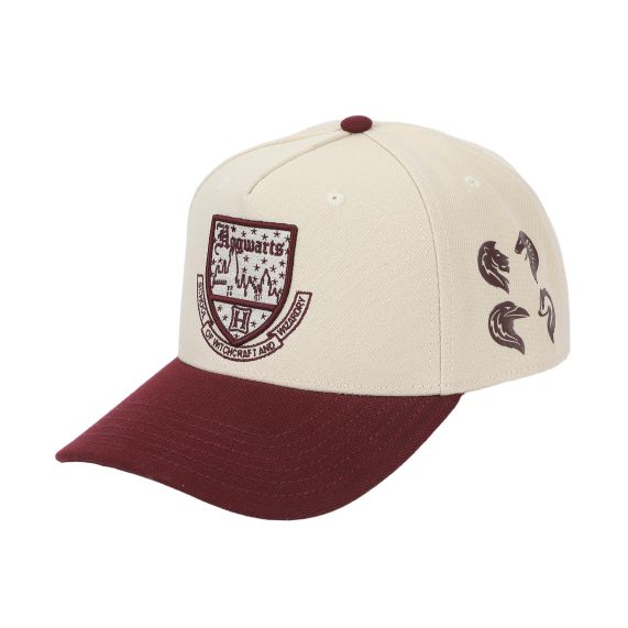 Harry Potter - Hogwarts Logo Snapback Hat, AYHPT
